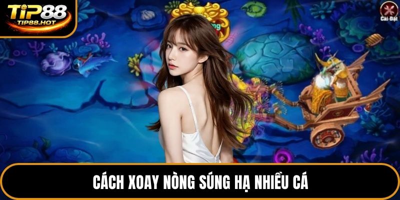 Cách xoay nòng súng hạ nhiều cá