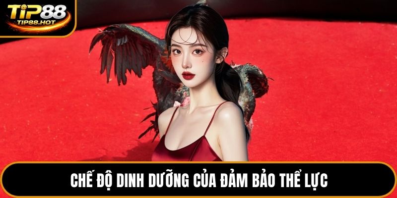 Chế độ dinh dưỡng của đảm bảo thể lực