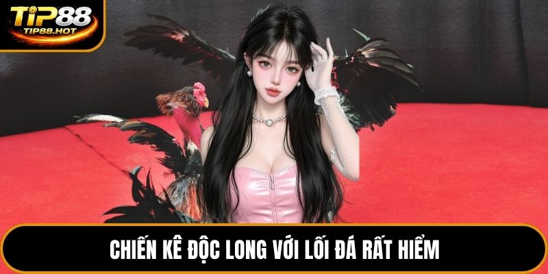 Chiến kê độc long với lối đá rất hiểm