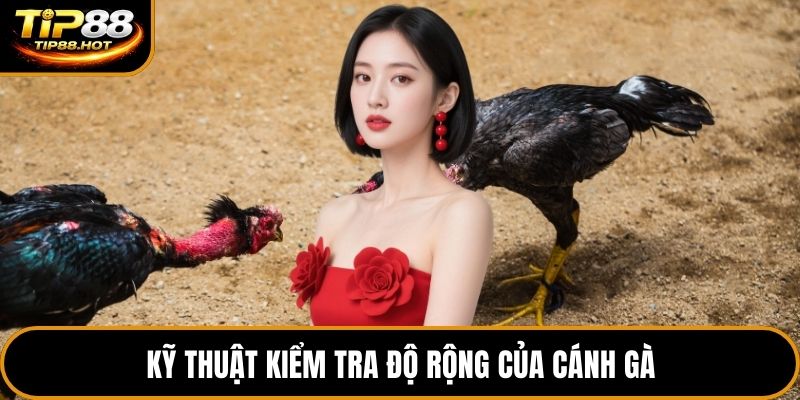 Kỹ thuật kiểm tra độ rộng của cánh gà