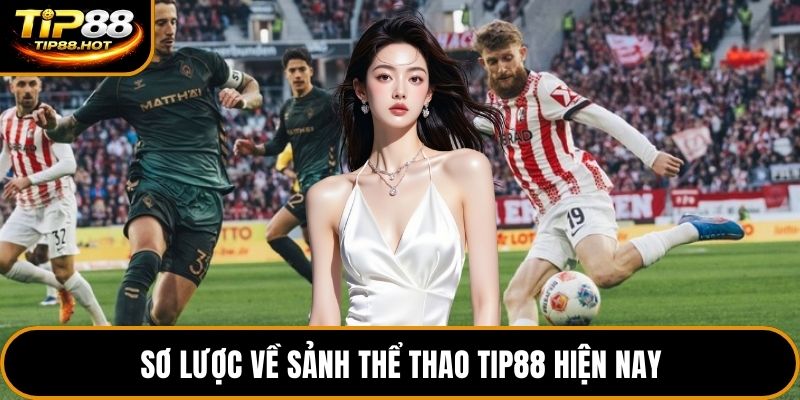Sơ lược về sảnh thể thao Tip88 hiện nay