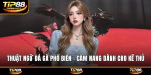 Thuật ngữ đá gà phổ biến